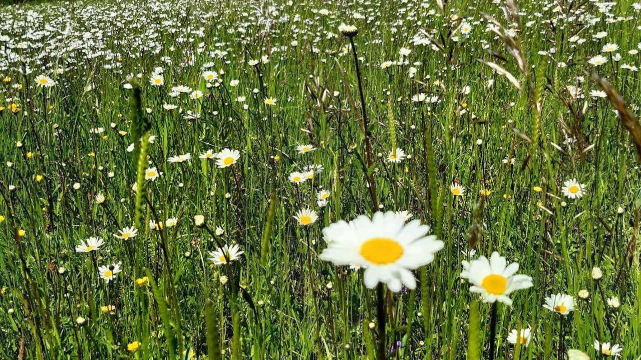 Sooo schön... Sooo schön...